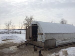 The new chicken coop constructed in December of 2015