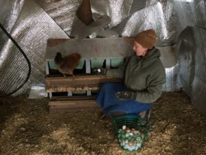 Elizabeth from Auntie Anne's farm kneels to collect eggs